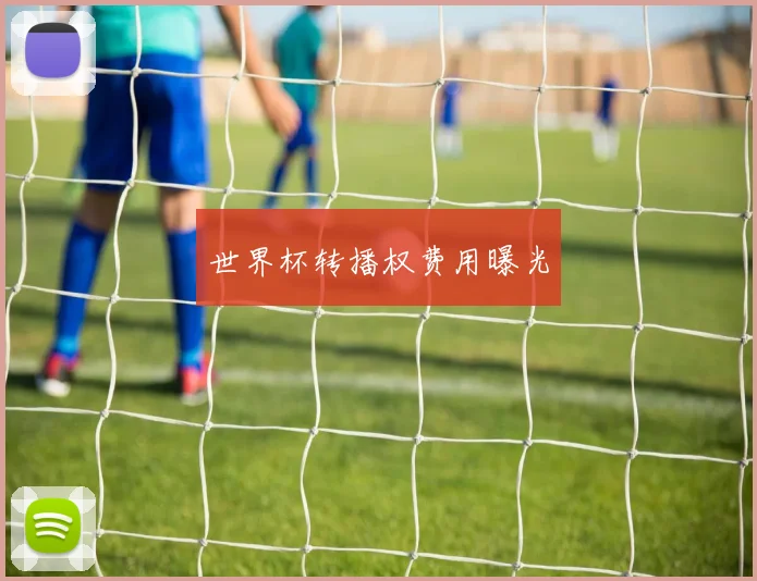 世界杯转播权费用曝光