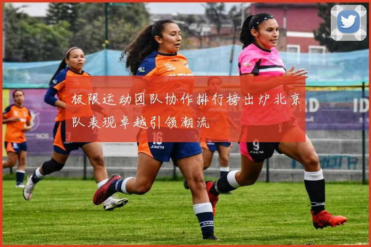 极限运动团队协作排行榜出炉北京队表现卓越引领潮流