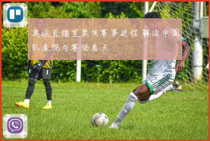 奥运直播室聚焦赛事进程 解读中国队表现与赛场看点