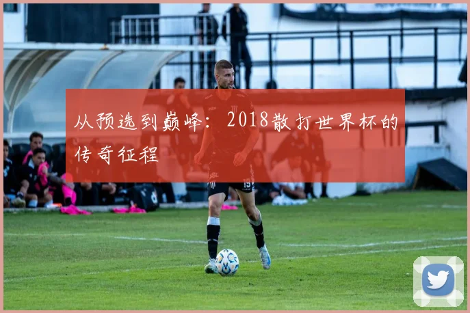 从预选到巅峰:2018散打世界杯的传奇征程