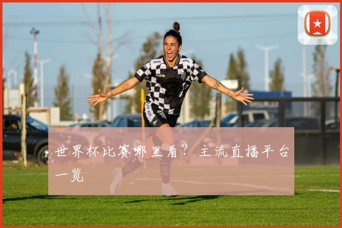 世界杯比赛哪里看?主流直播平台一览