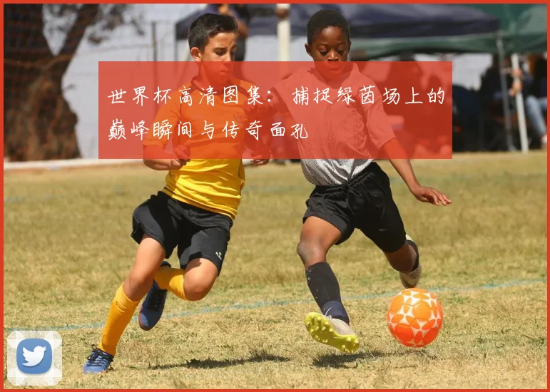世界杯高清图集：捕捉绿茵场上的巅峰瞬间与传奇面孔