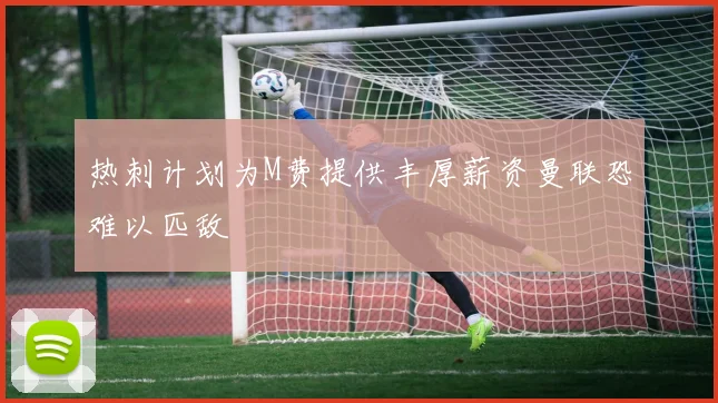 热刺计划为M费提供丰厚薪资曼联恐难以匹敌
