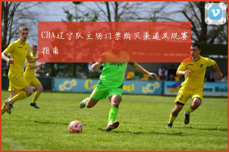 CBA辽宁队主场门票购买渠道及观赛指南