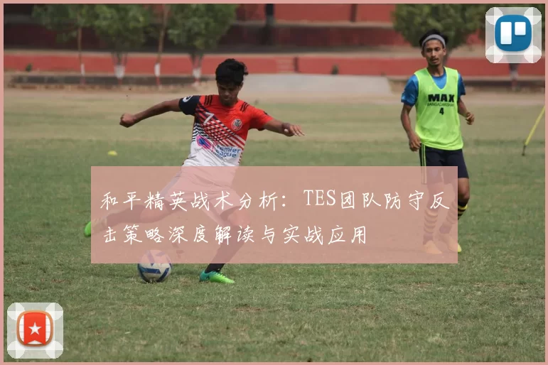 和平精英战术分析：TES团队防守反击策略深度解读与实战应用