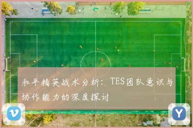和平精英战术分析：TES团队意识与协作能力的深度探讨